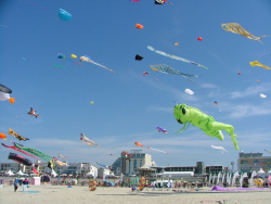 Berck2007-385