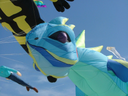 Berck2007-387