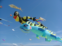 Berck2007-388