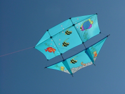 Berck2007-389