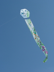 Berck2007-390