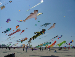 Berck2007-397