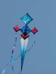 Berck2007-398