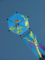 Berck2007-399