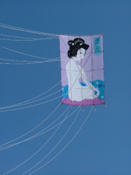 Berck2007-400