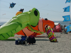 Berck2007-404