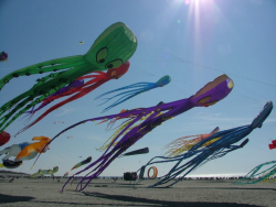 Berck2007-418