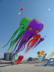 Berck2007-419
