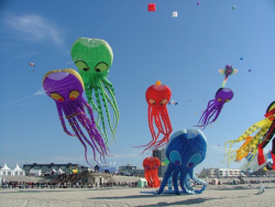 Berck2007-420