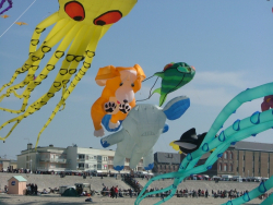 Berck2007-421