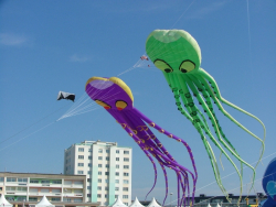 Berck2007-422