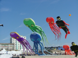 Berck2007-423