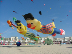 Berck2007-430