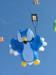 Berck2007-431