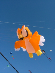 Berck2007-432