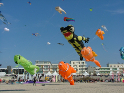 Berck2007-438