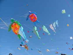 Berck2007-439