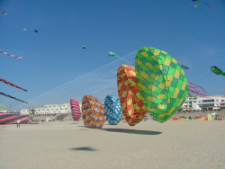 Berck2007-441