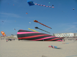 Berck2007-442