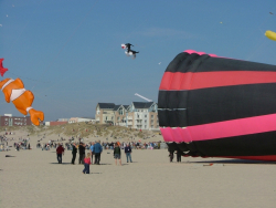 Berck2007-443