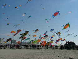 Berck2007-444