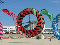 Berck2007-447