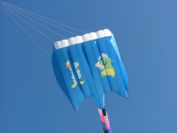 Berck2007-448
