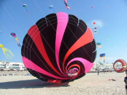 Berck2007-449