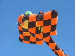 Berck2007-450