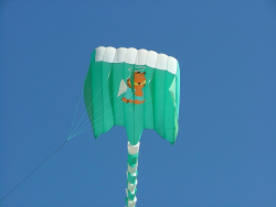 Berck2007-451