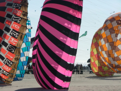 Berck2007-452