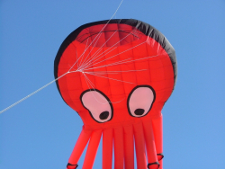 Berck2007-454