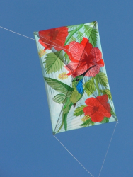 Berck2007-457