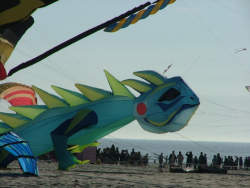 Berck2007-458