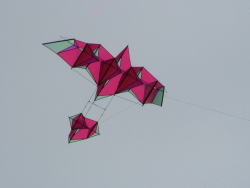 Berck2007-462