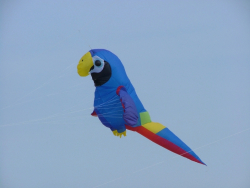 Berck2007-466