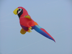 Berck2007-467