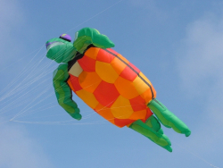 Berck2007-468