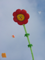 Berck2007-469