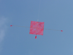 Berck2007-471