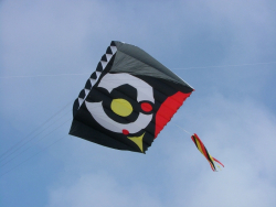 Berck2007-478