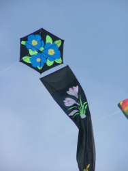 Berck2007-480