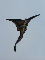 Berck2007-483