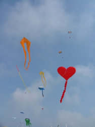 Berck2007-484