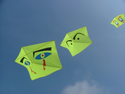 Berck2007-486