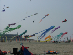 Berck2007-488