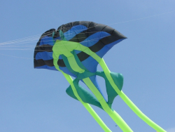 Berck2007-490