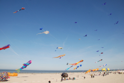 Berck2010-002