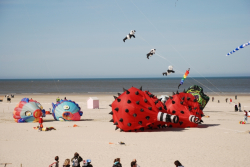 Berck2010-003