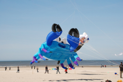Berck2010-008